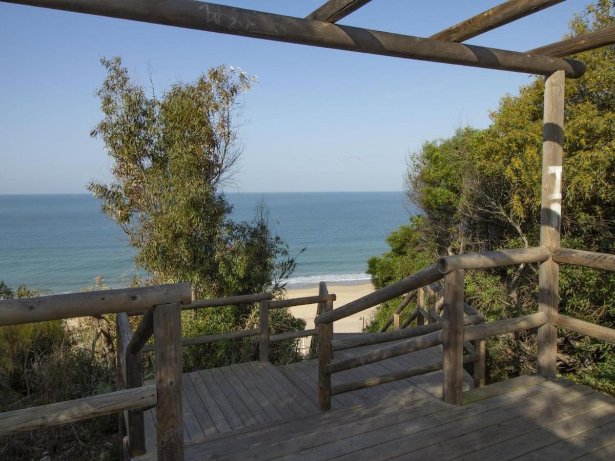 דירות אל פוארטו דה סנטה מריה Ancora-Terraza-Y-Piscina מראה חיצוני תמונה
